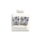 Unisex .925 Silver Princess Zirconia stud earrings