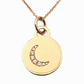 Tiffany &Co. 18k Yellow Gold Moon Diamond Chain and pendant set