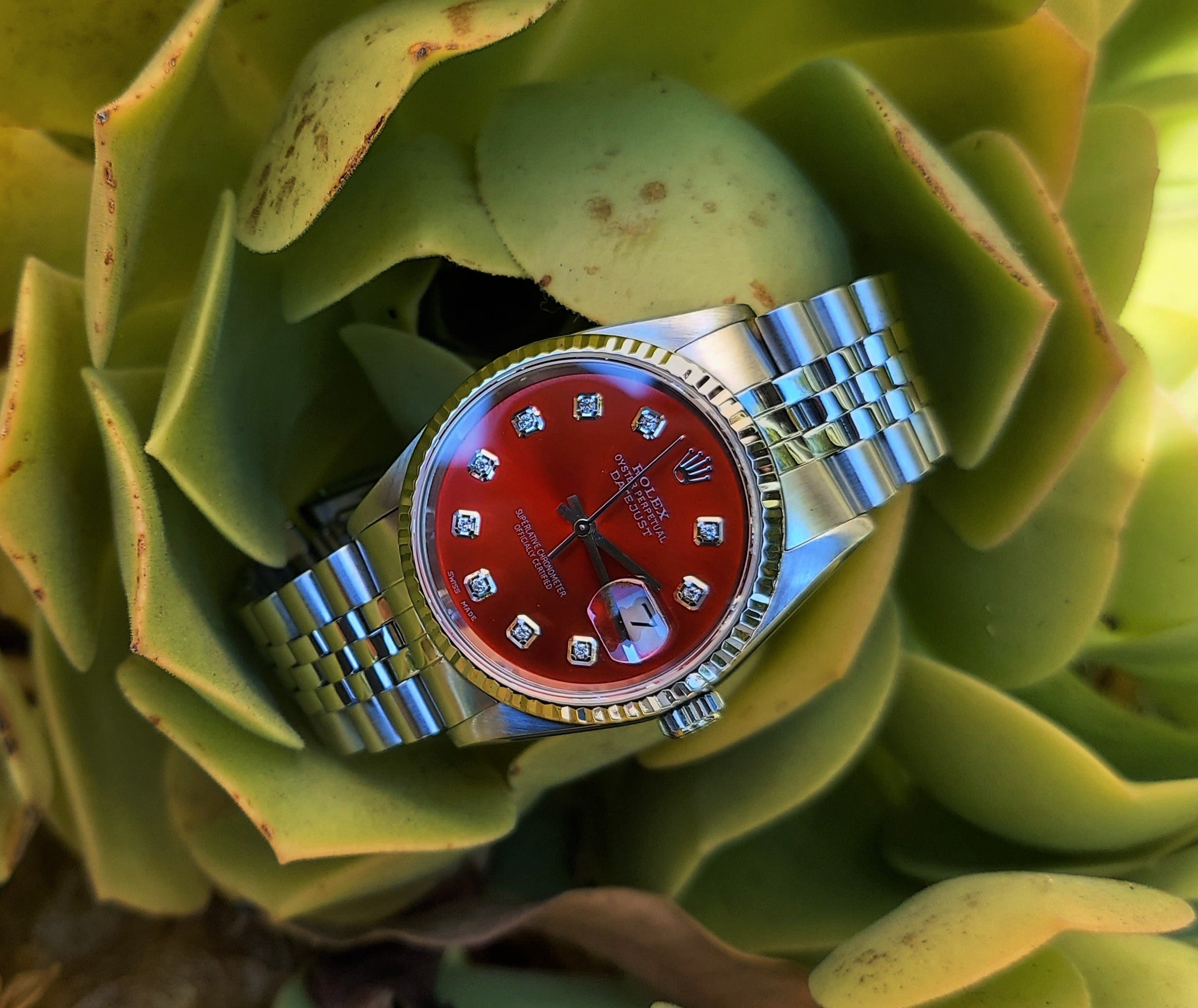 Rolex diamond red hot sale